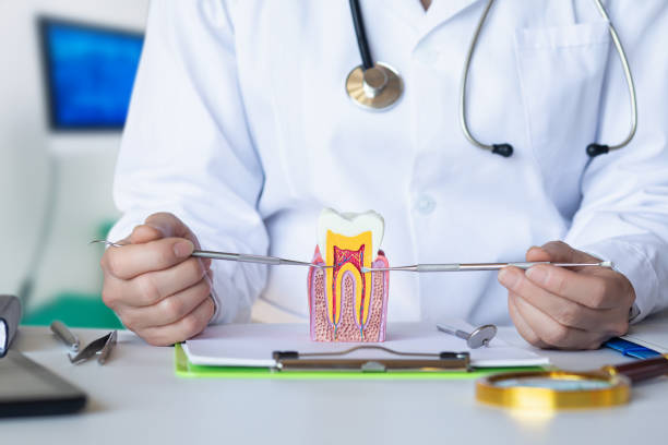 Best Cosmetic Emergency Dentistry in Fayette, OH